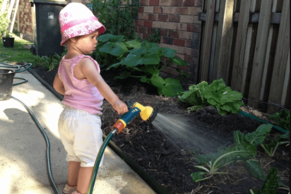 edible garden