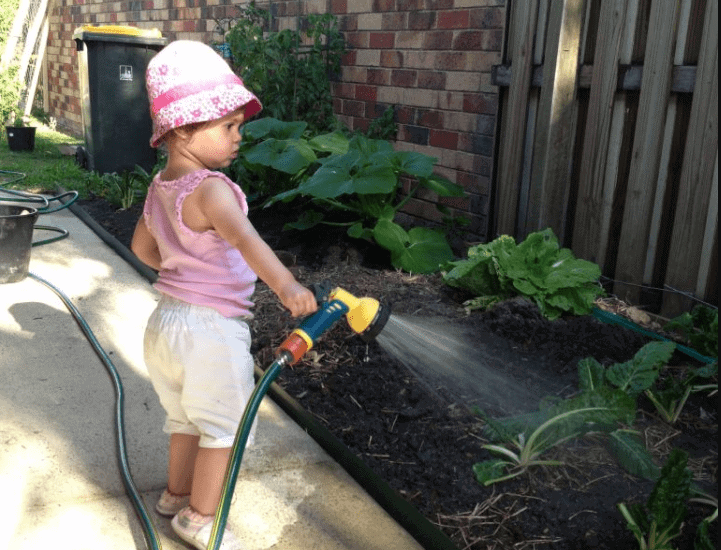 edible garden