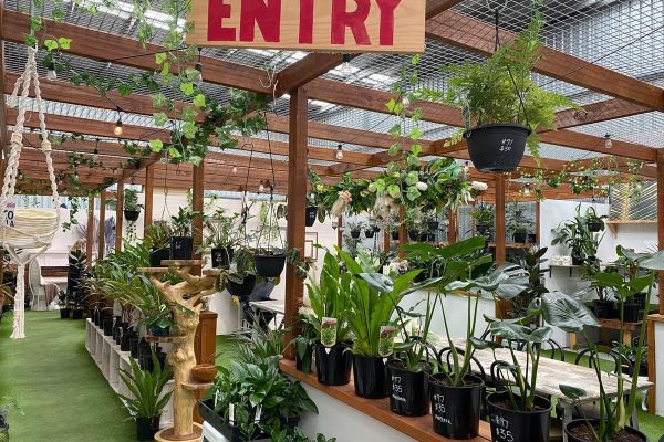 Vend Marketplace - nursery virginia