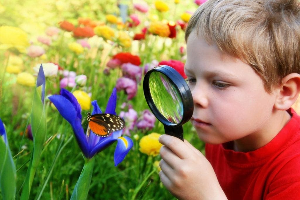 Boy looking at butterfly through magnifying glass